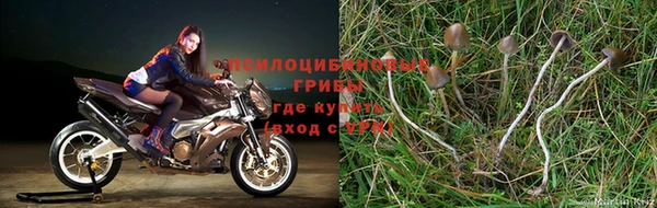 дистиллят марихуана Аркадак