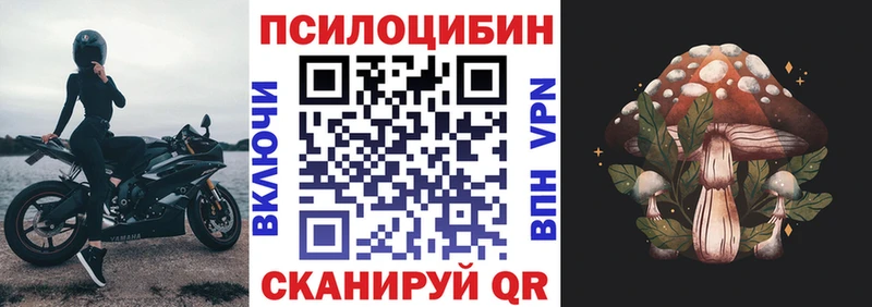 Галлюциногенные грибы мухоморы  купить наркоту  Сердобск 
